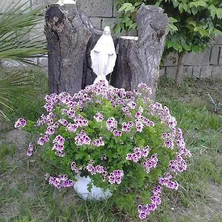 Lulu'